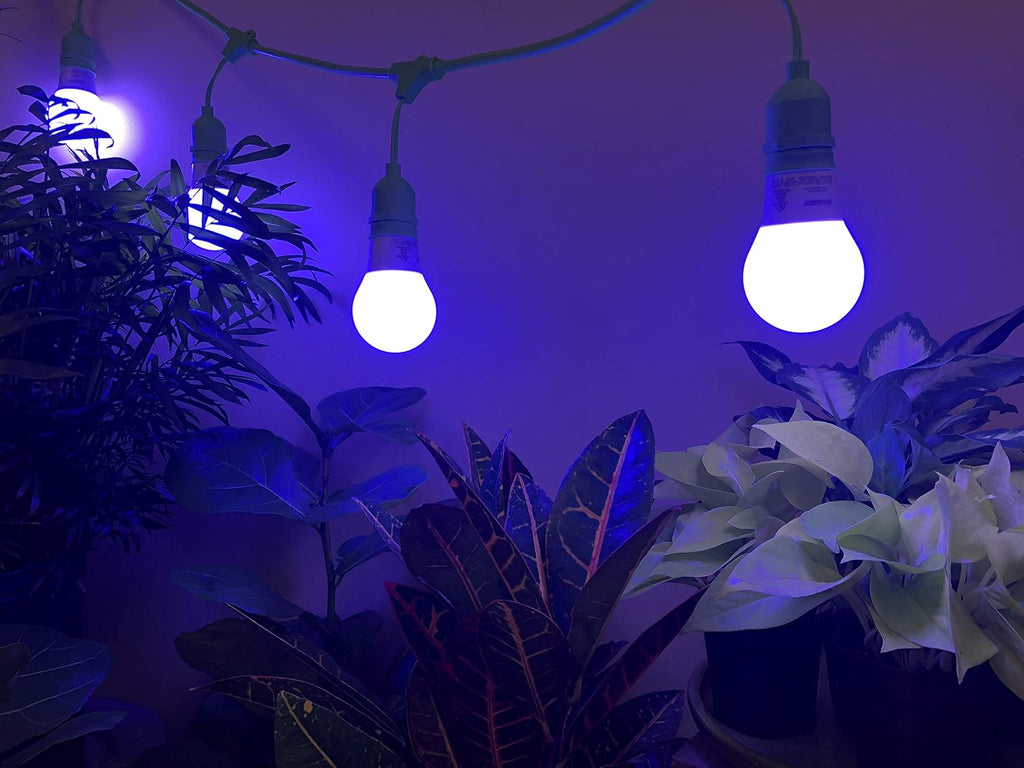 Craft Lighting Midnight Iris Blue Spectrum LED Grow Light Bulb Replacing 150W (4-Pack)