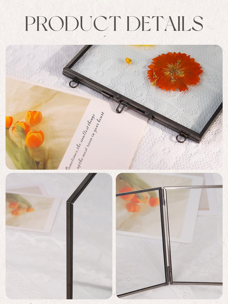 Hanging Pressed Flower Frames, Double Glass, Black, 8x10 Inches