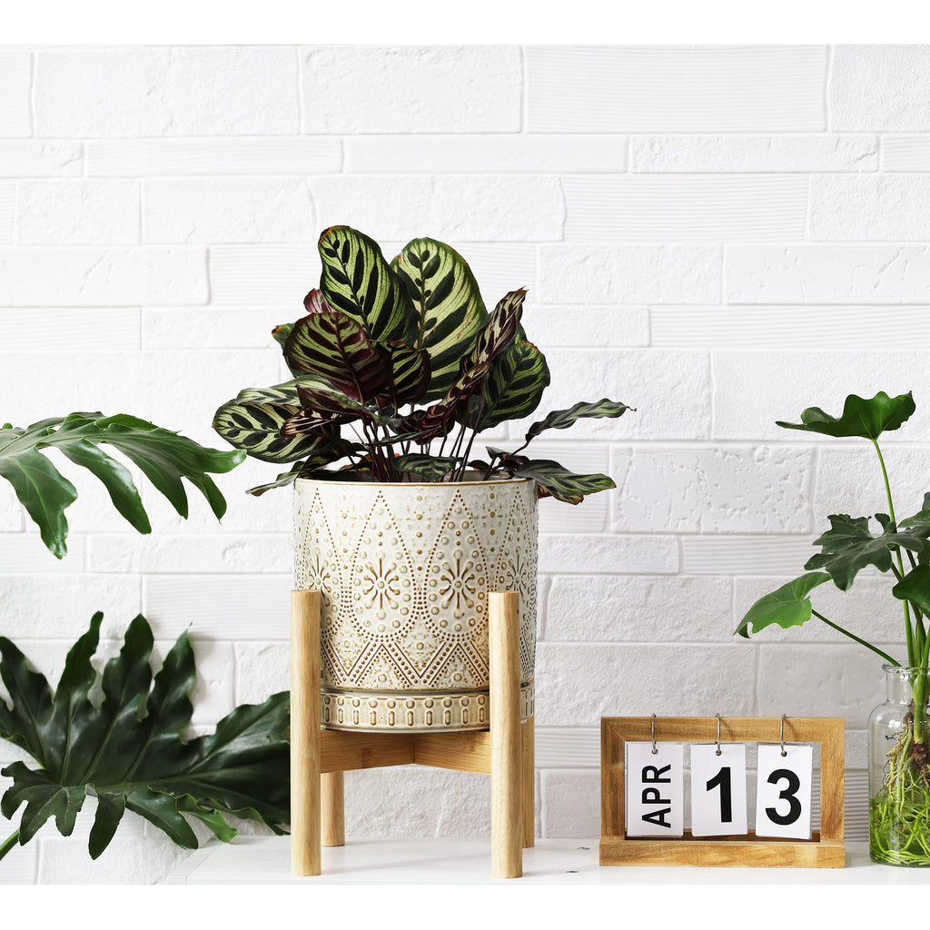 8 Inch Plant Pot with Stand, Ceramic Planter with Drainage Holes, Saucers and Mesh Pads for Indoor-Outdoor Plants