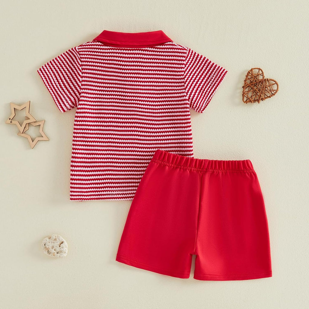 Baby Boy Outfit Embroidered Short Sleeve Collared Shirt and Shorts 2Pcs Set