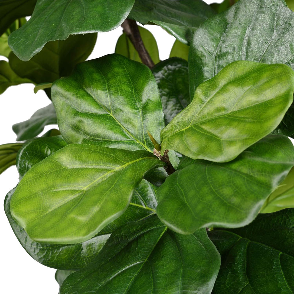 6ft Artificial Potted Fiddle Tree - 65 Large Fiddle Leaves - Tall - Green Silk Artificial Indoor Fiddle Plant
