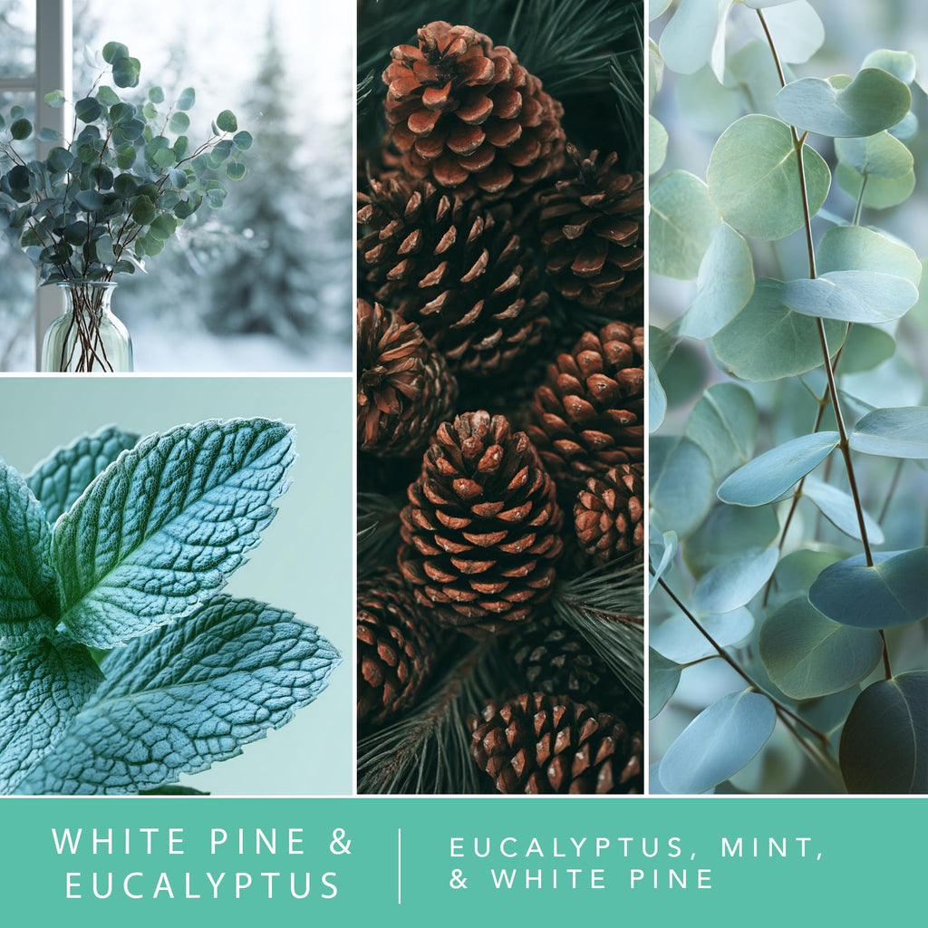 White Pine & Eucalyptus Water-Based Reed Diffuser - 5 FL OZ
