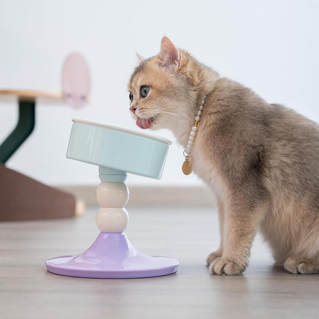 Ceramic Elevated Raised Cat Bowls, 3 Heights Adjustable Raised Dog Bowl Stand for Indoor Cats and Small Dogs, 15°