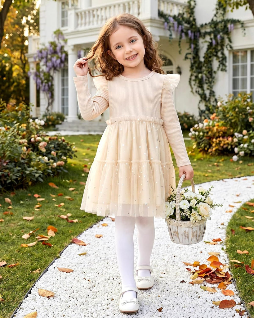 Toddler Tutu Dress Girl Ruffle Long Sleeve Fall Winter Tulle Dresses