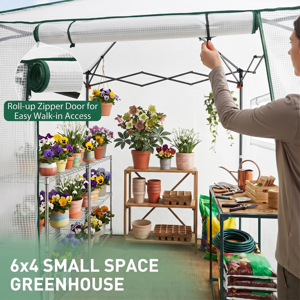 6x4 Easy Setup Small Pop Up Greenhouse, Clear/White