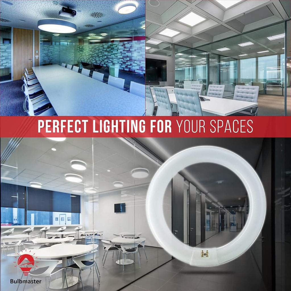 22 Watts 8 Inch Round T9 Fluorescent Circular Light Bulb, Daylight 6500K, FC8T9 980 Lumens G10Q 4-Pin Base