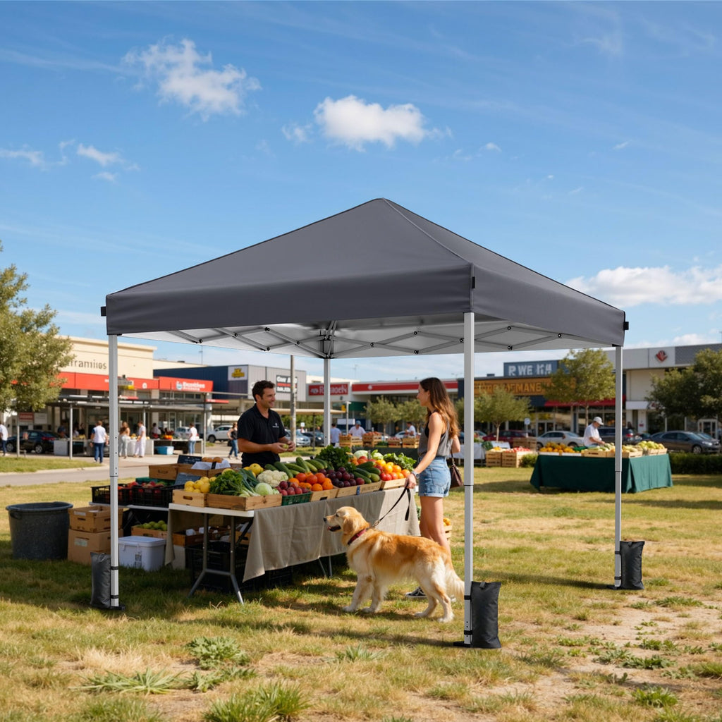 10x10 Pop Up Canopy Tent One-Push Center Lock, Portable Shelter
