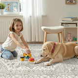 Living Room 10x14 Area Rugs, Washable Area Rug Stain Resistant Carpet Vintage Soft Rugs for Bedroom 