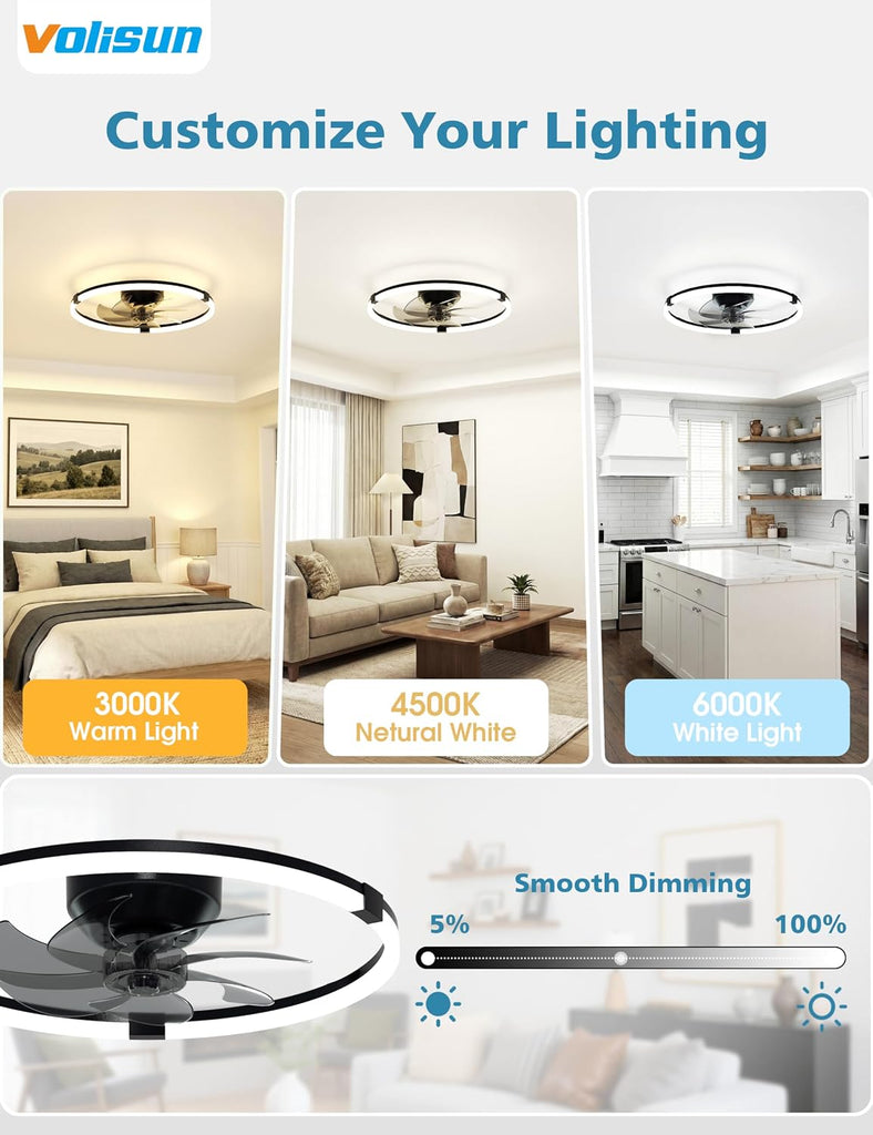 Low Profile Ceiling Fan with Lights and Remote, 19.7in Black