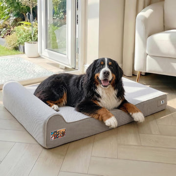 Orthopedic Dog Beds for Extra Large Dogs, 7" Extra Thick Memory Foam Canvas Pet Bed with Durable Chew Proof Fabric