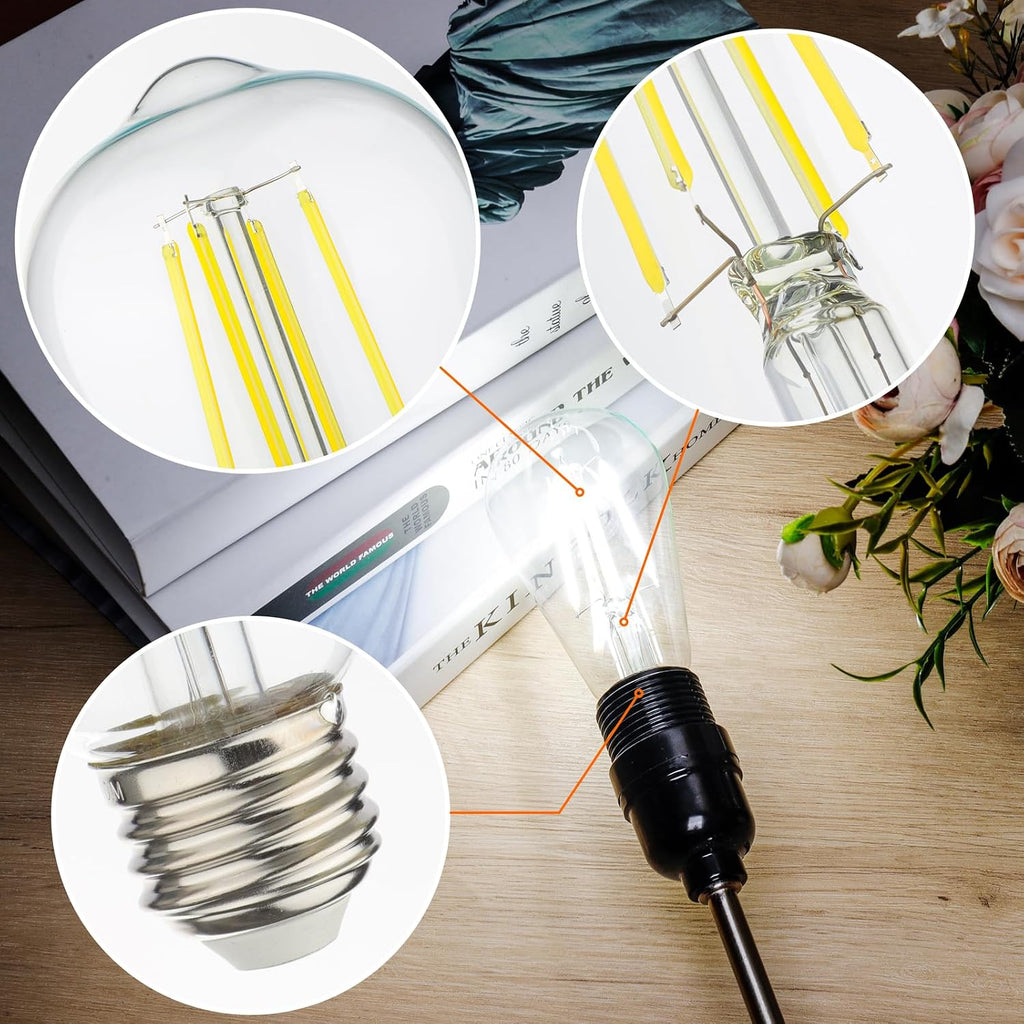 Vintage LED Edison Bulbs 60 Watt Equivalent, 6W E26 Led Bulb