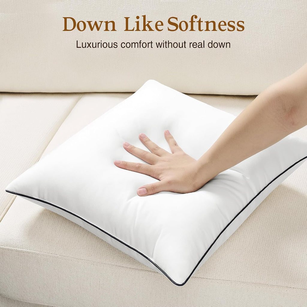 20x20 Pillow Inserts, Fluffy Overfilled Down Alternative Decorative Pillows, Soft Plush Throw Pillows - Set of 2