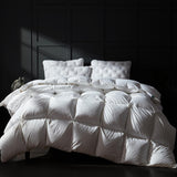 Luxury Goose Down Comforter Queen, Ultra-Soft Fluffy Duvet Insert for All Season
