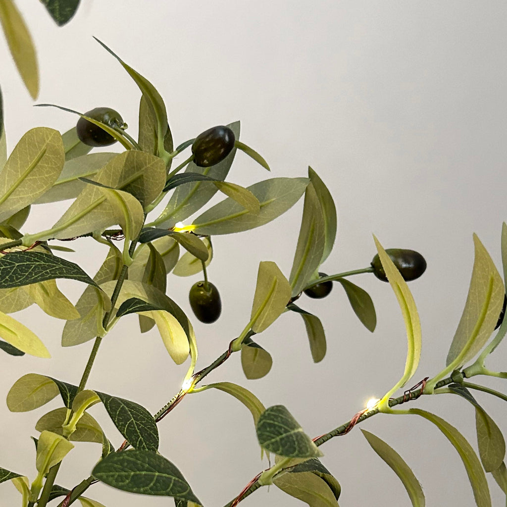 Lighted Olive Tree 6FT 300 Fairy Lights with Timer and Dimmer, Artificial Tree with Lights Home Room Decoration