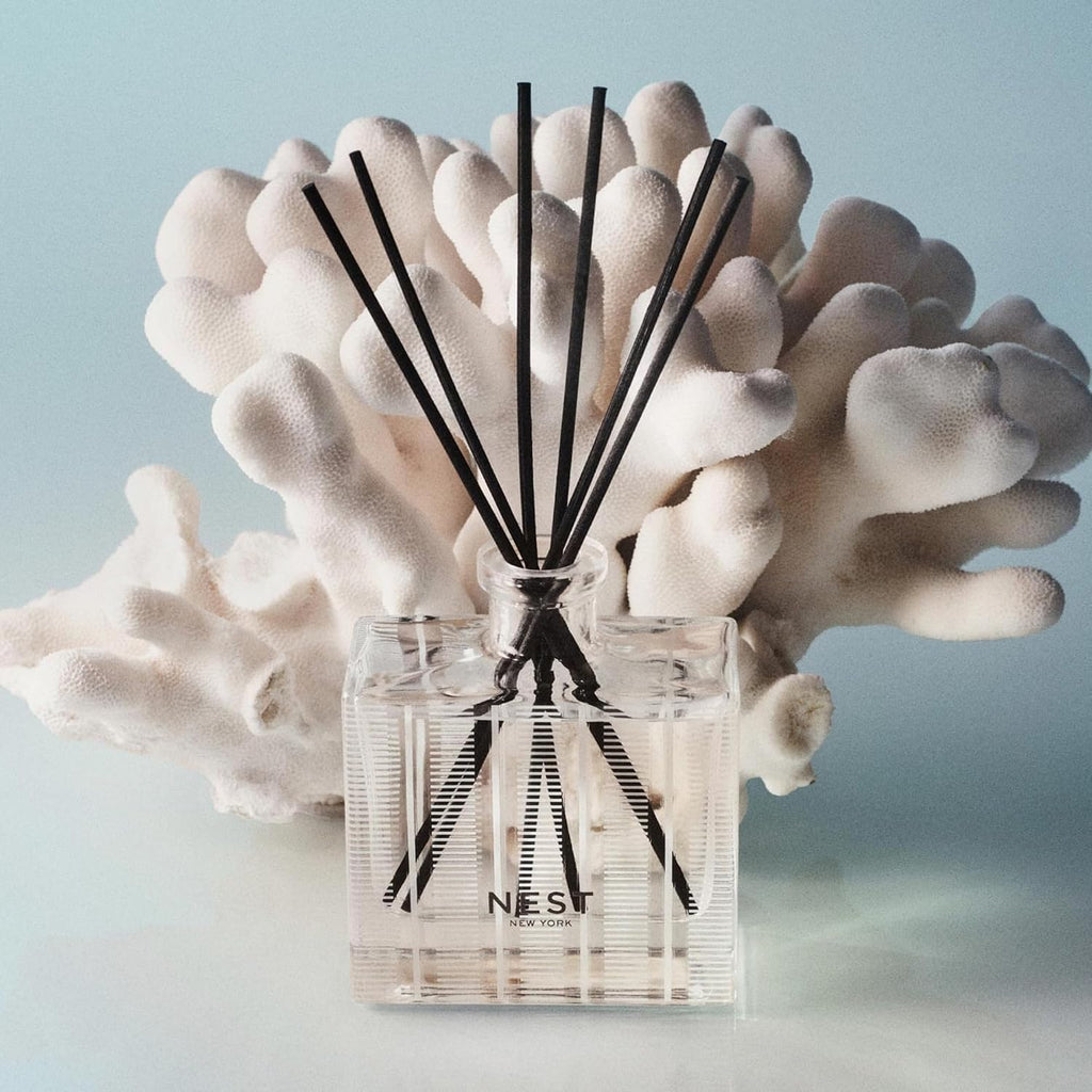 Reed Diffuser, Ocean Mist & Sea Salt - 5.9 fl oz - Fragrance for Up to 90 Days - Reusable, Refillable Glass Holder - Set of 59