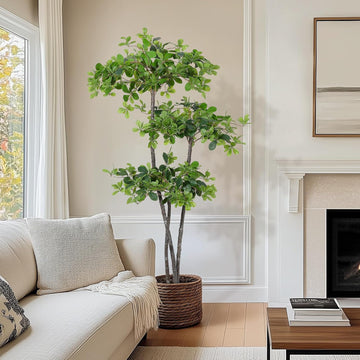 Artificial Plants Indoor, 6 ft Fake Black Olive Tree with Pot