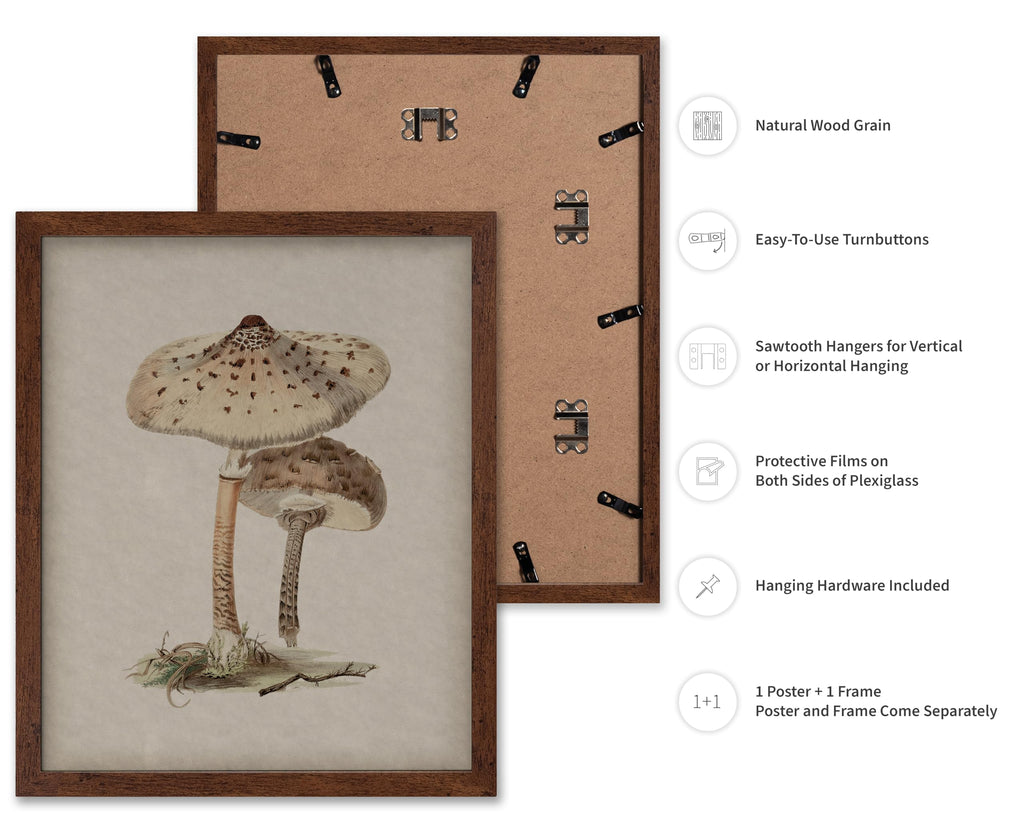 Master Vintage Mushroom Poster - Retro Parasol Mushroom Print - Botanical Art - Housewarming Gift for Him, Her, Men