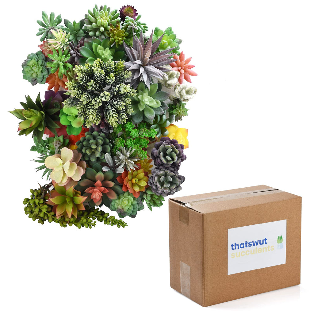50 Pack Bulk Large Assorted Realistic Artificial Faux Succulents Aloe Plants Realistic Fake Succulent Plants, Largest