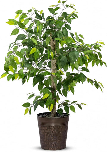 Artificial Tree 4ft Artificial Ficus Tree in Copper Metal Pot by - Faux Indoor Plant with Real Wood Trunk, Fully