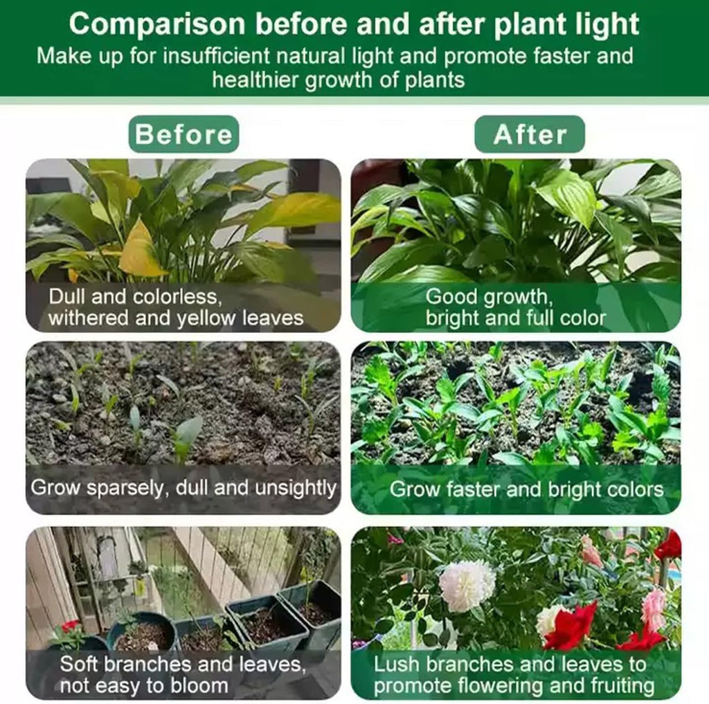 100W LED Grow Light Bulb, E26/E27 Base, 3000K Warm White Full Spectrum, 150 LED Chips for Indoor Plants, Seed