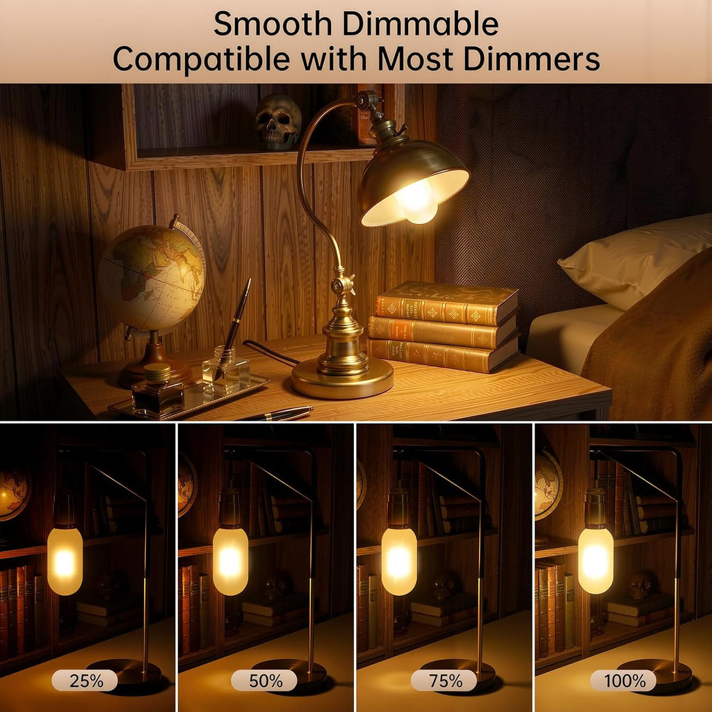 LED Edison Bulb 40 Watt Equivalent Dimmable Frosted Glass 3 Pack