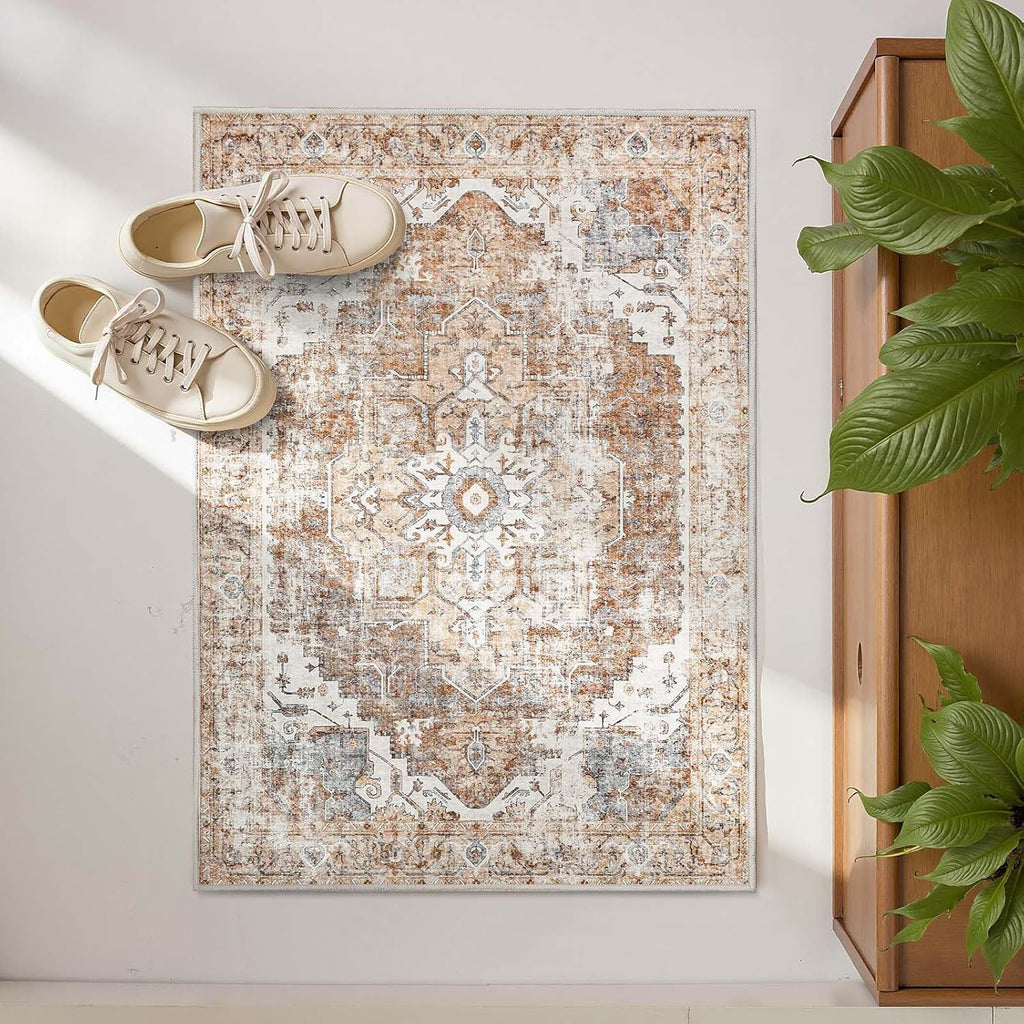 Kelda Area Rug 2x3 Entryway Rug Washable Doormat Vintage Retro Indoor Distressed Accent Lightweight 
