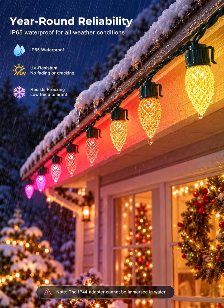 100LED Outdoor Christmas Lights, Smart APP & Remote, DIY, Music Sync, Timer