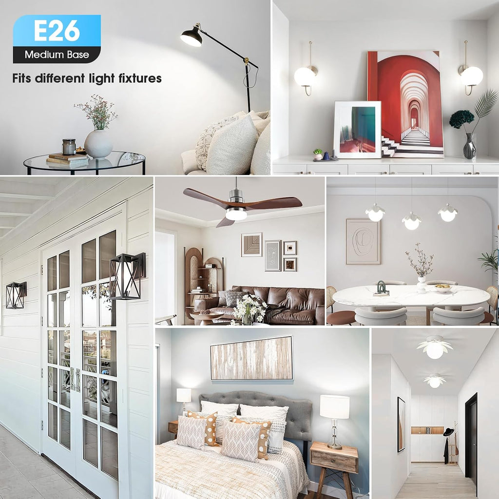 A19 LED Light Bulbs, 60W Equivalent 5000K Daylight White 24-Pack