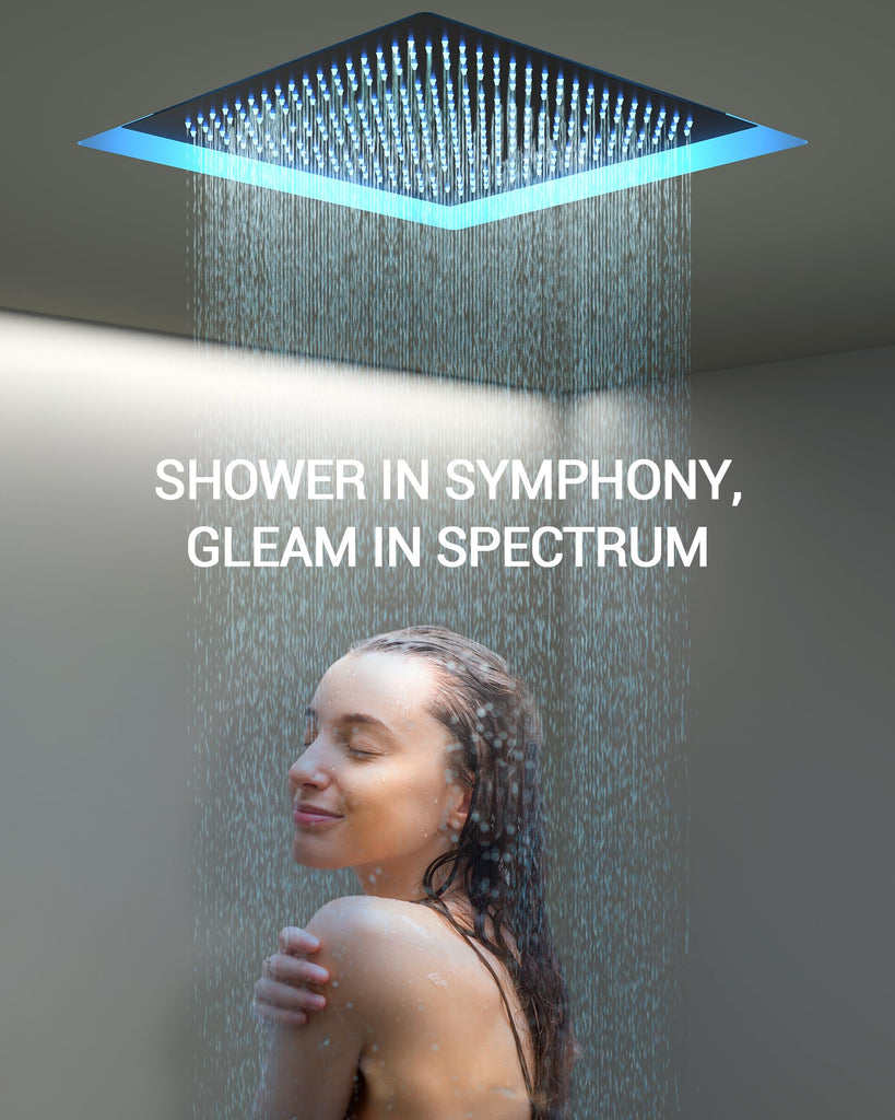 20" LED Ceiling Shower System with 6 Jets & Handheld, Matte Black