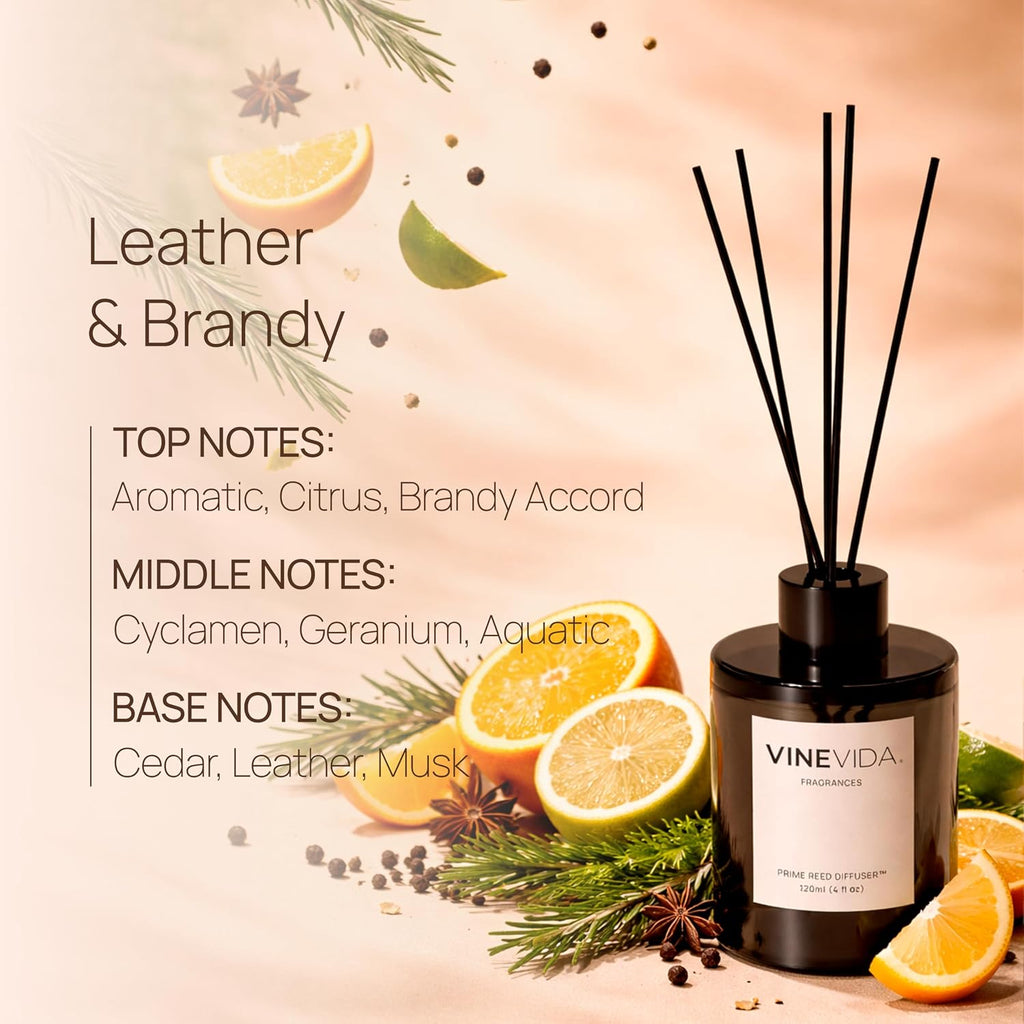 Leather & Brandy | Reed Diffuser | Long-Lasting Scent Sticks Set | Oil Stick Diffuser | Bathroom Scent