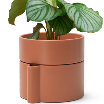 8 Inch Self-Watering Planter Pot with Terracotta Insert, Deep Water Reservoir, and Ceramic-Alike BPA-Free Plastic
