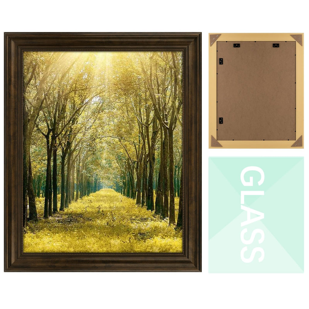 16x20 Ornate Picture Frame, Real Glass, Dark Brown Poster Photo Frame