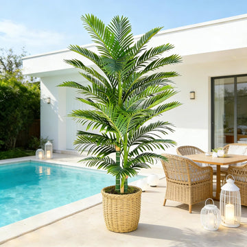 Artificial Palm Tree Indoor Plant (Black, 6FT)