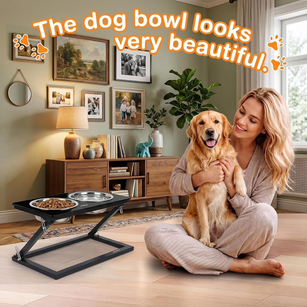 Elevated Dog Bowl, Adjustable Height and Tilt Angle Dog Bowl Stand