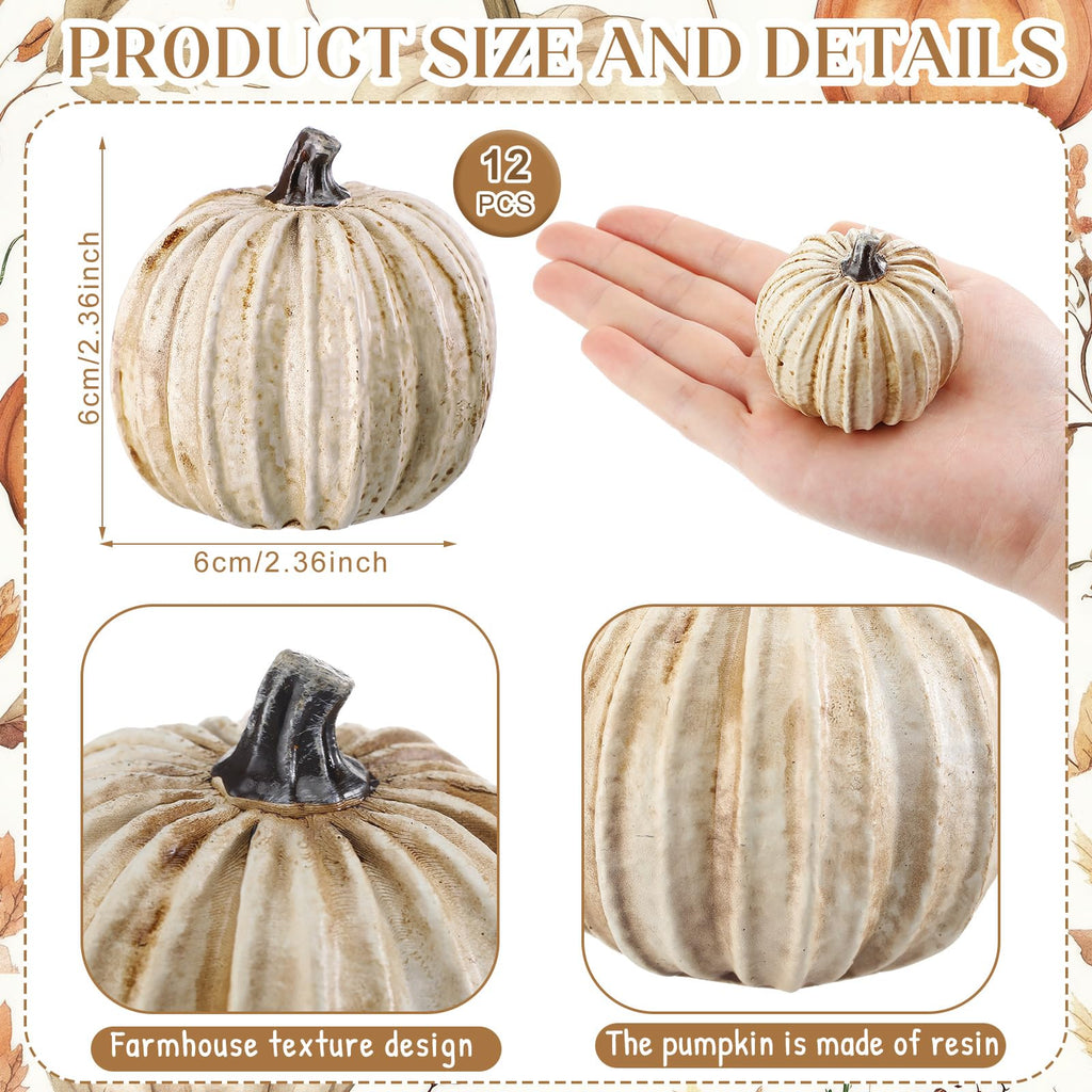 12 Pcs White Rustic Fall Pumpkin Decor Resin Pumpkins for Thanksgiving Decorations Farmhouse Decorative Pumpkins