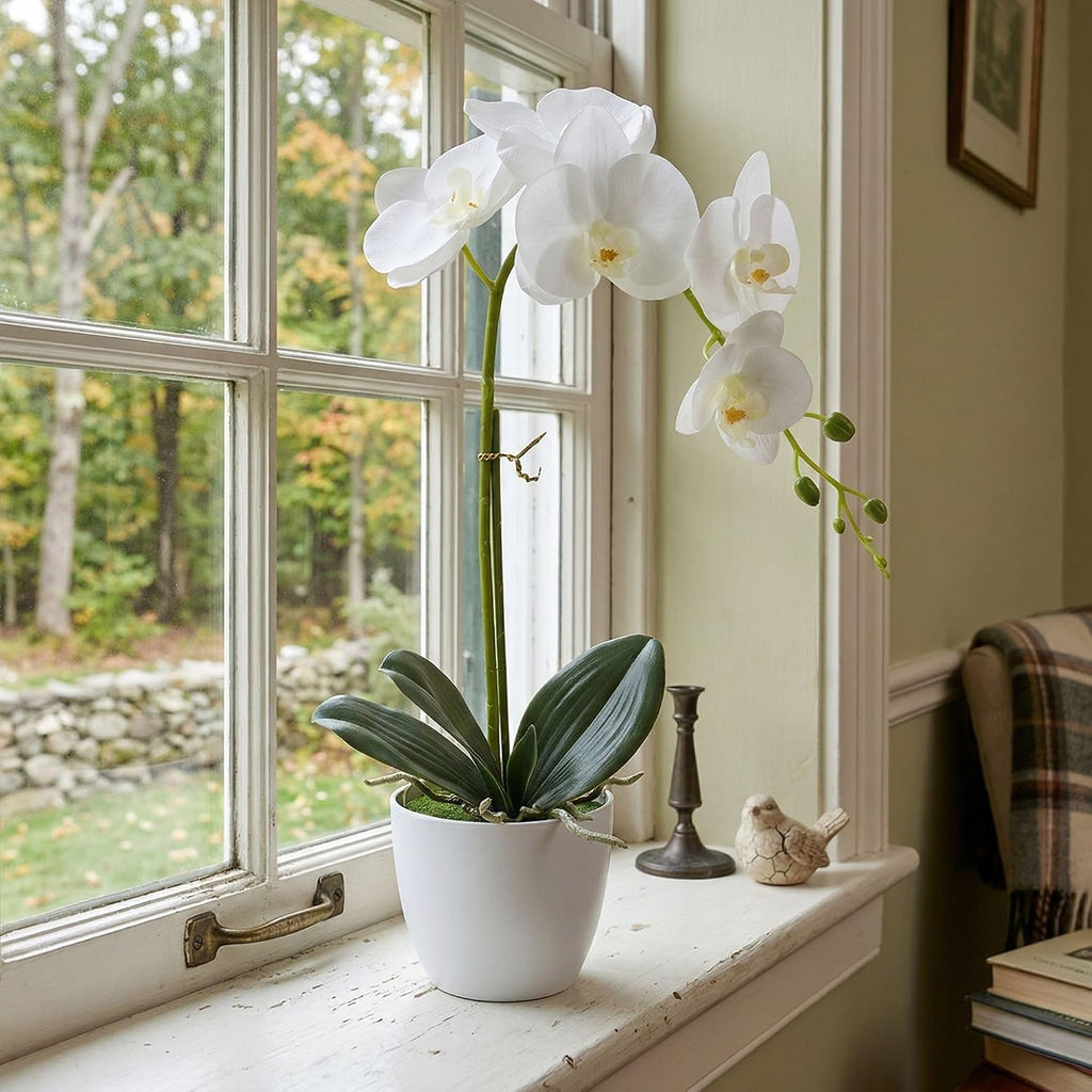 Artificial Orchid in Pot, 17-20" Real-Touch Faux Phalaenopsis, White