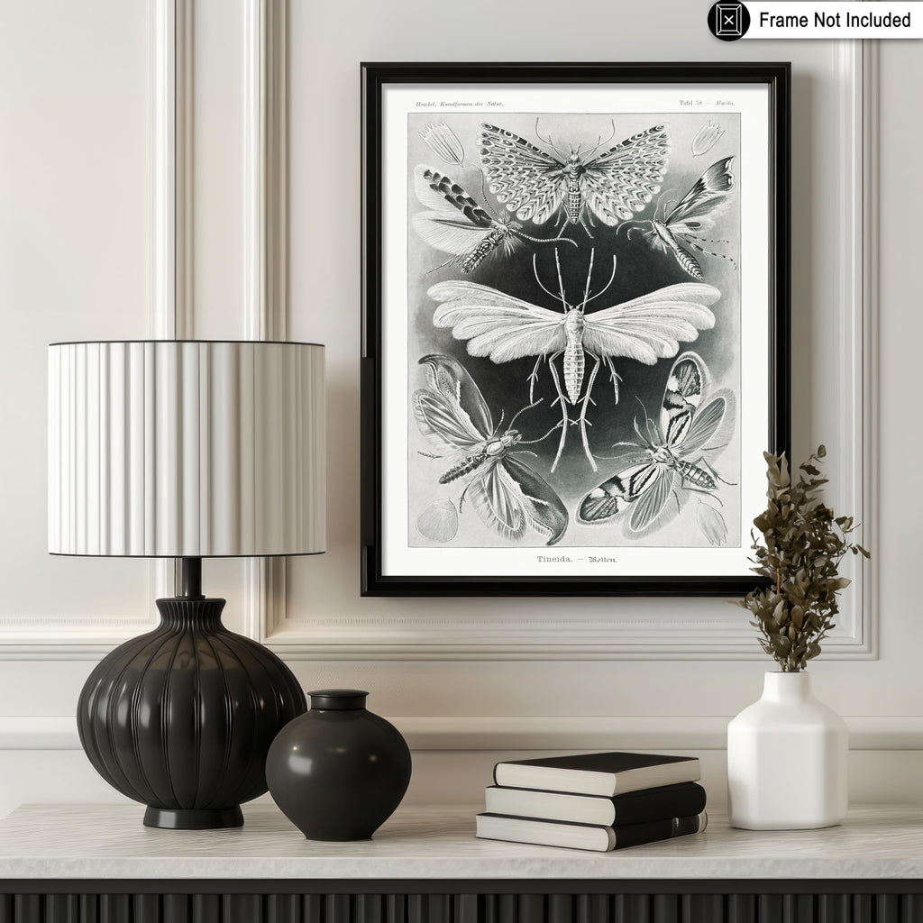 Master Tineida Moth Print - Ernst Haeckel Poster - Insect Biodiversity Art - Wildlife Wall Design - Gift for Men &