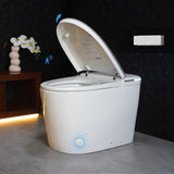 Greenwater Smart Toilet with Bidet Built in