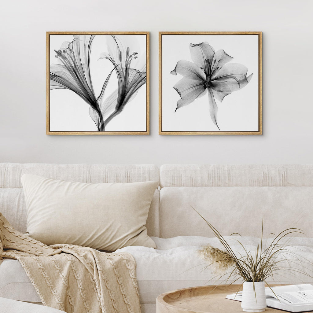 Framed Wall Art Print Set Detailed X-Ray Lily Flower Closeup Floral Plants Photography Minimalism Glam Relax/Calm