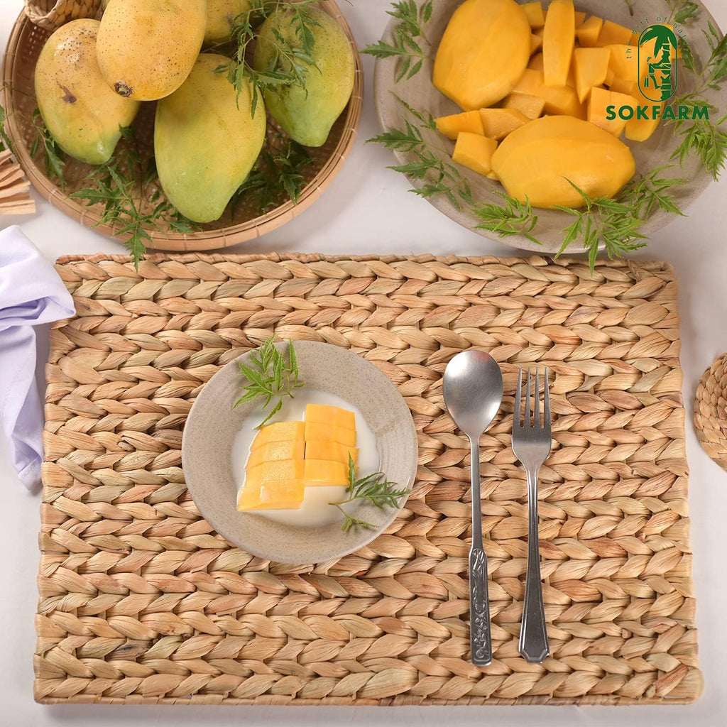 Water Hyacinth Rectangular Placemats, 17 x 12 Inch Woven Rattan Table Mats for Dining Table, Heat Resistant - Set of 6