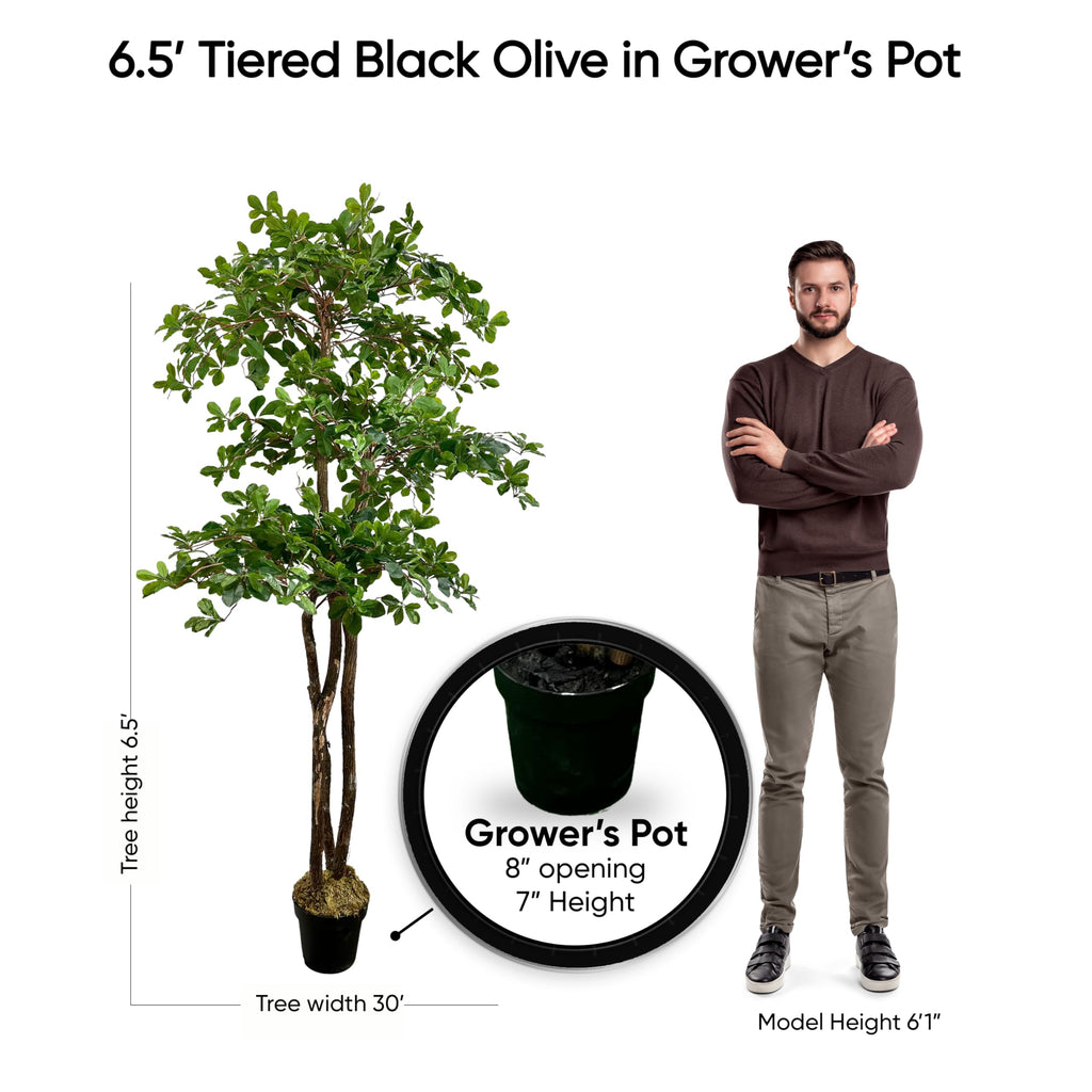 Handmade 6.5ft 3-Tier Italian Black Olive Leaf Artificial Tree with Ethically Sourced Real Wood Trunks
