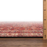 3x5 Rug - Machine Washable Entry Rug with Non-Slip Backing, Ideal