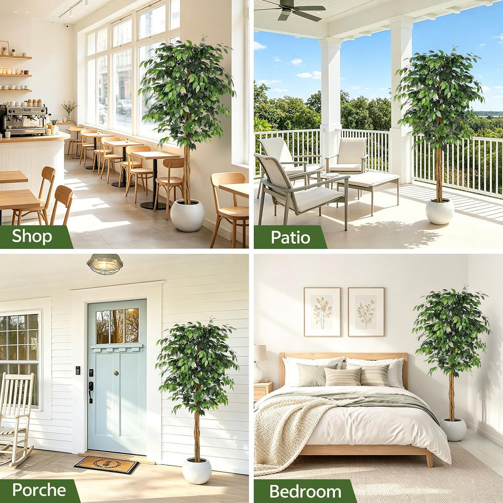 6ft Artificial Ficus Tree with Triple Trunk & Black Planter