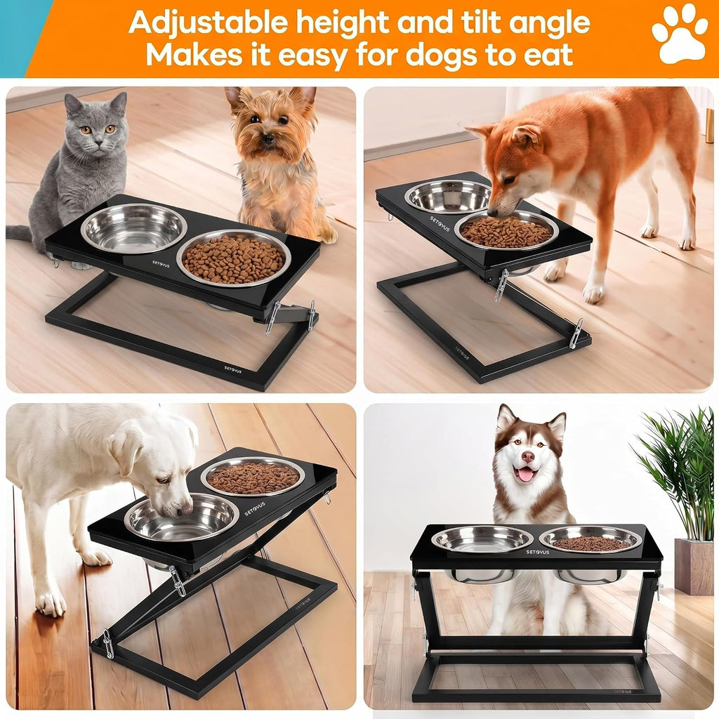 Elevated Dog Bowl, Adjustable Height and Tilt Angle Dog Bowl Stand