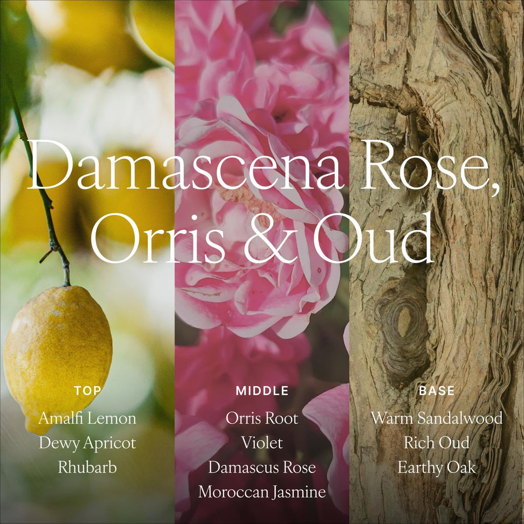 Reed Diffuser, Damascena Rose, Orris & Oud, 16.9 fl oz