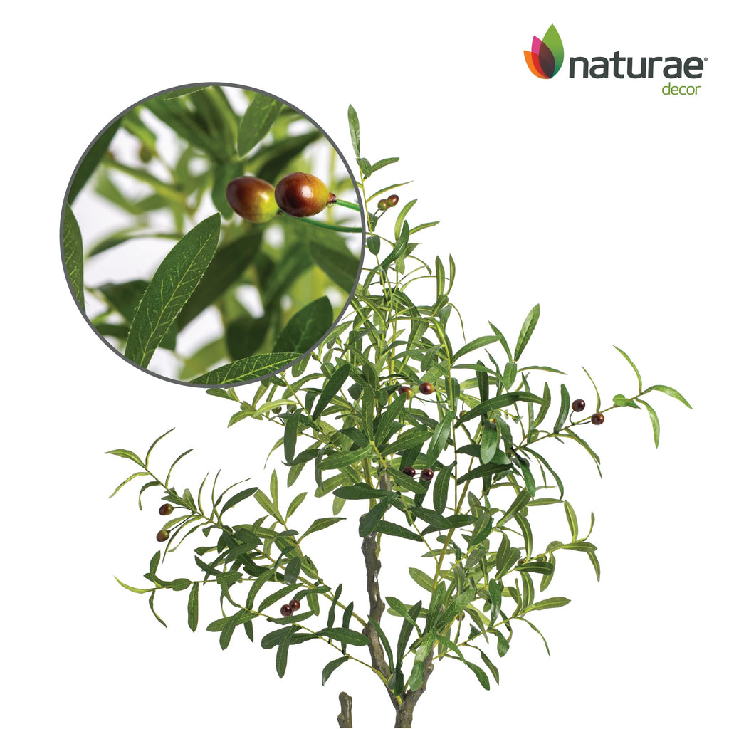 Olive Tree - Lifelike Artificial Indoor House Plant (49 Inches)