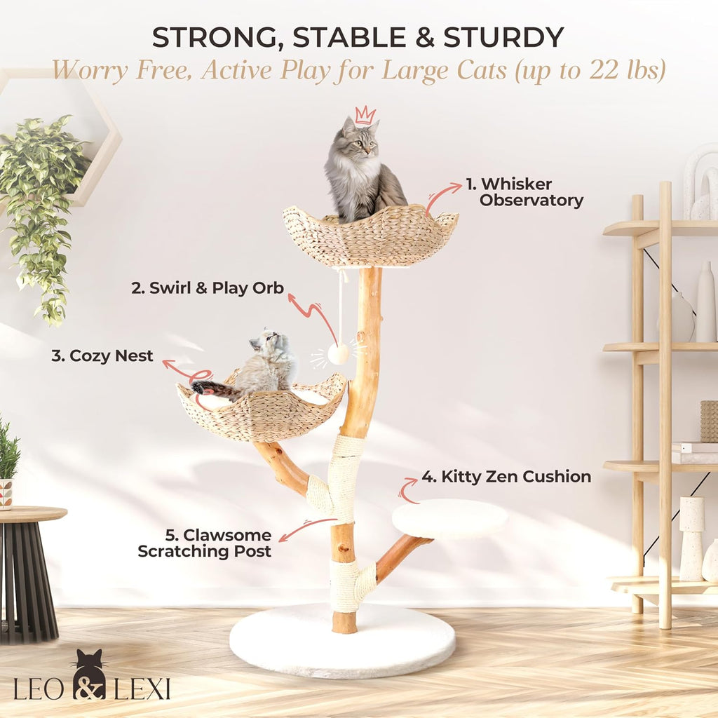 Aesthetic, Real Wood Modern Cat Tree. 46 inches Tall, Sturdy, Solid Natural Wood Tower for Large Cats. Scratching