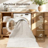 Area Rugs for Living Room 9x12, Non Slip Machine Washable Boho Neutral Modern Rug, Soft Fluffy Carpe