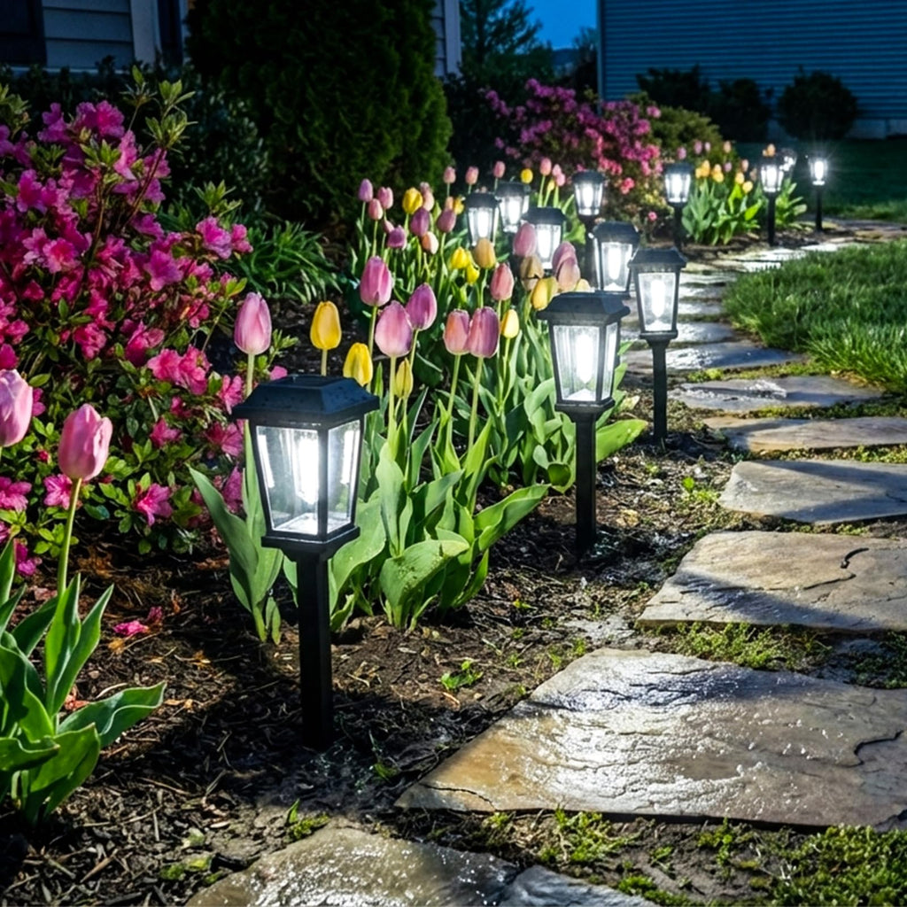 Solar Pathway Lights Outdoor Waterproof 10 Pack LED Garden Lights