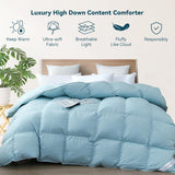 Premium Down Comforter Queen, Luxurious All Season Duvet Insert with Cotton Blended Fabric